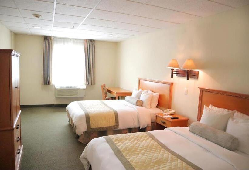 Fotos del hotel Antaris Galerias:  8