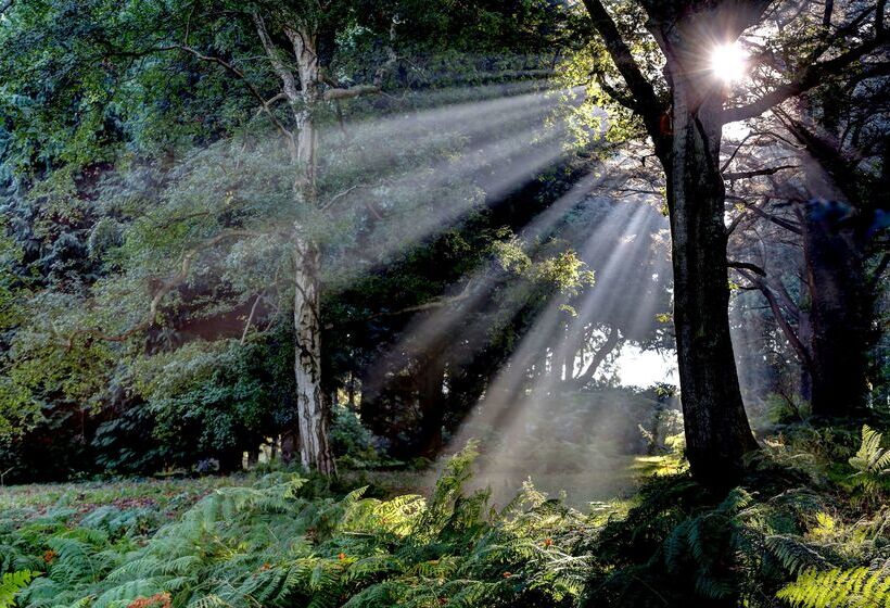 Fotos del hotel Best Western Chilworth Manor:  36