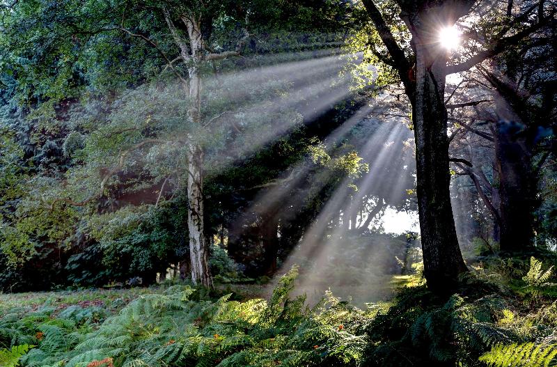 Fotos del hotel Best Western Chilworth Manor:  12