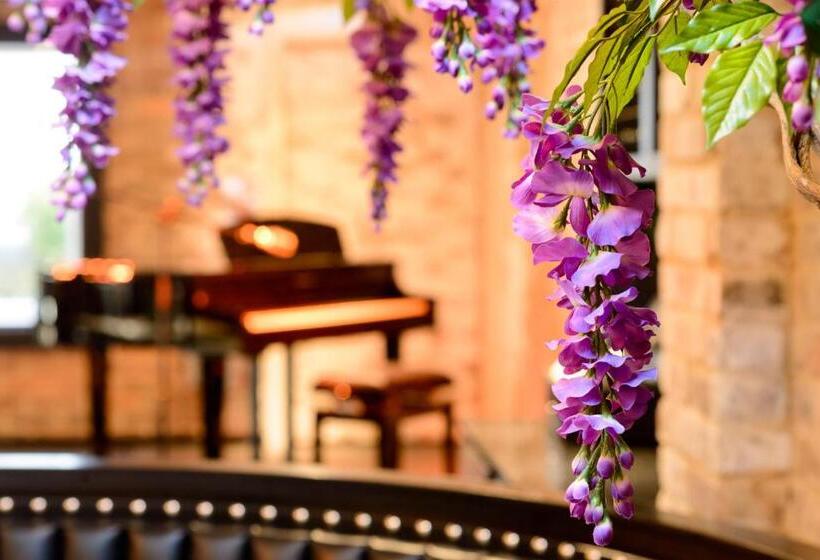 Fotos del hotel Black Ivy:  25