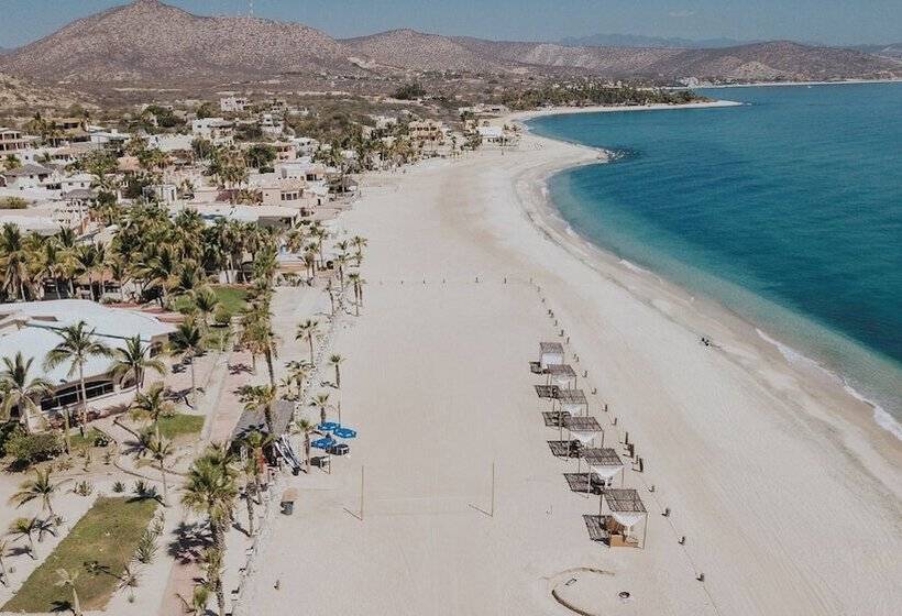 ホテル Buena Vista Oceanfront & Hot Springs Resort