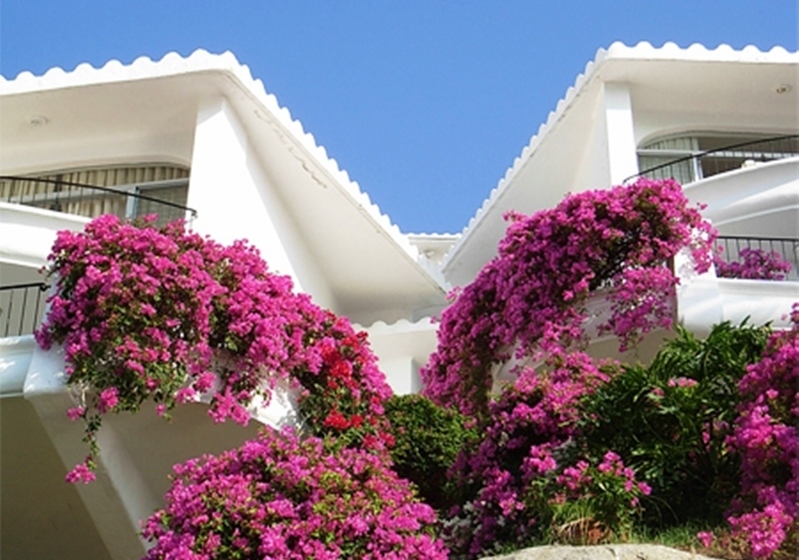 فندق Dolphin Cove Inn