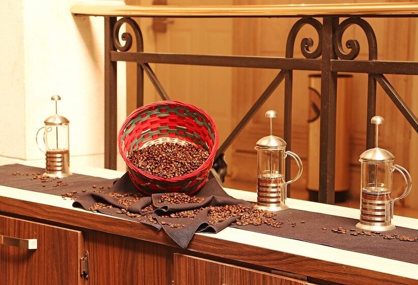 Fotos del hotel Plaza De Oro:  18