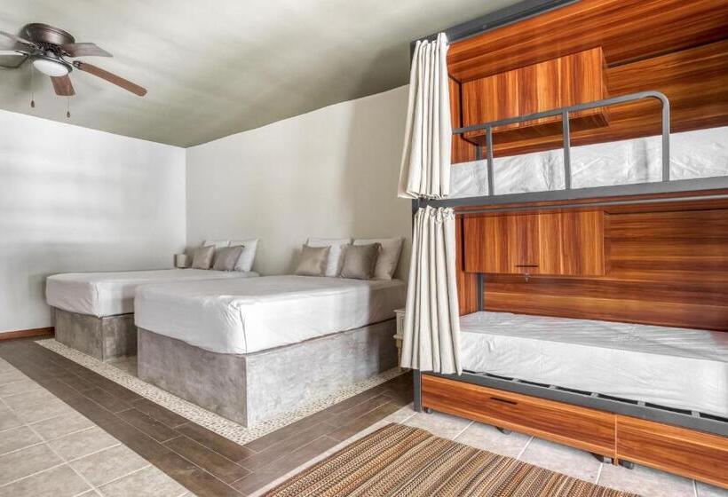 Fotos del hotel Selina Tulum:  48