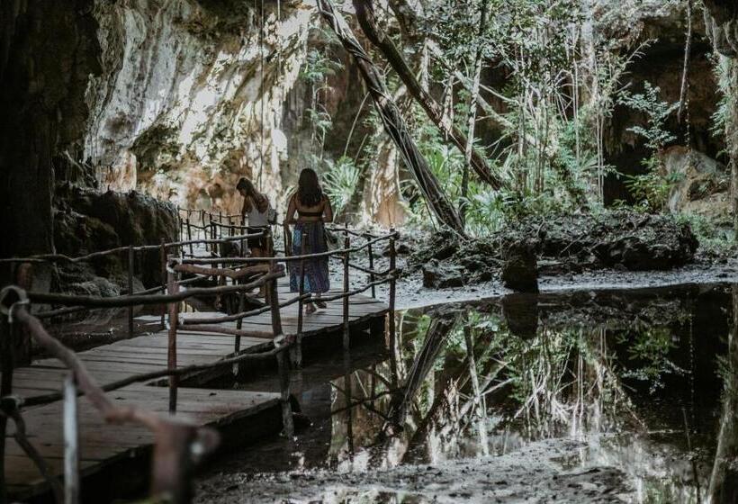 Fotos del hotel Selina Tulum:  58