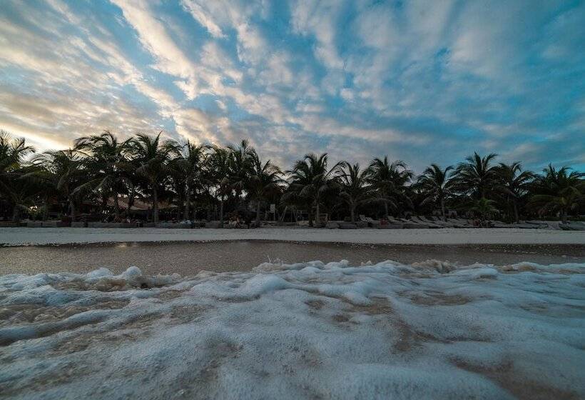 Fotos del hotel Selina Tulum:  6