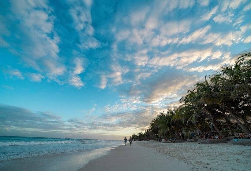 Fotos del hotel Selina Tulum:  21