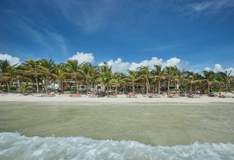 Fotos del hotel Selina Tulum:  25