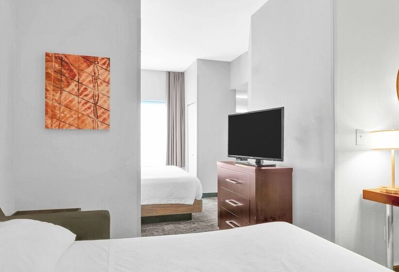 هتل Springhill Suites By Marriott Tarrytown Westchester County