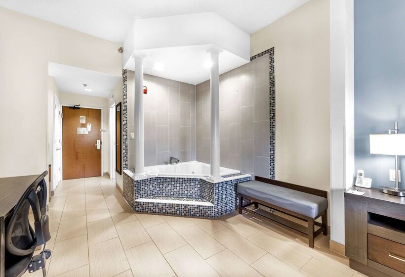 هتل Wingate By Wyndham Schaumburg