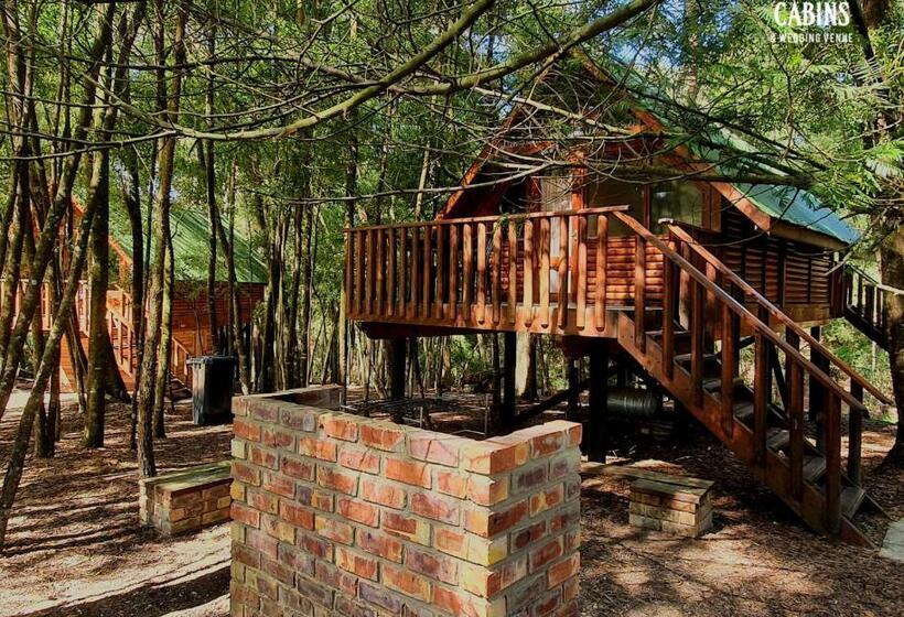 هاستل Plett Forest Cabins