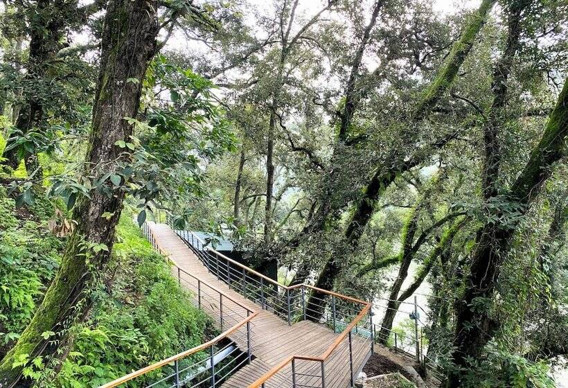 فندق The Rosefinch Sarovar Portico