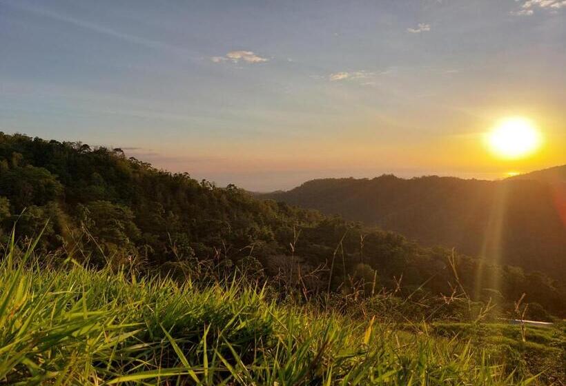 مبيت وإفطار Restaurante Y Cabinas Sudy