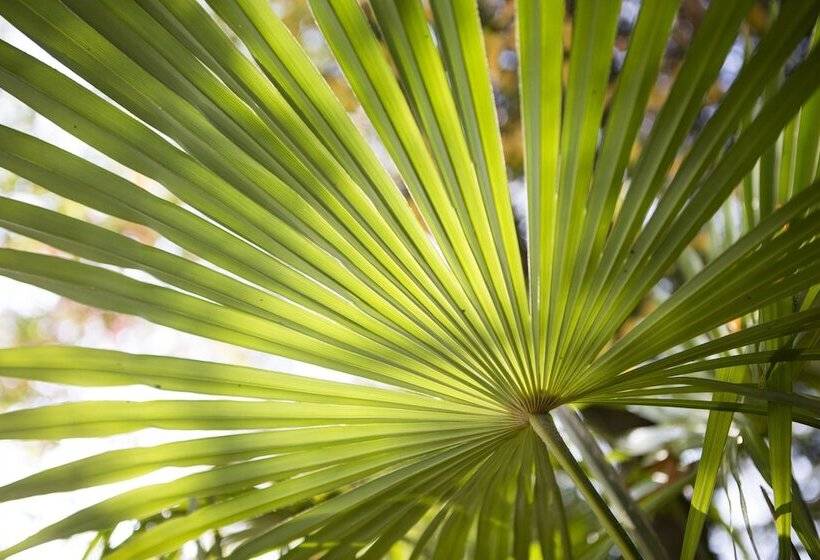 Fotos del hotel Auszeit  Düsseldorf  Das Frühstücks  Partner Of Sorat S:  37