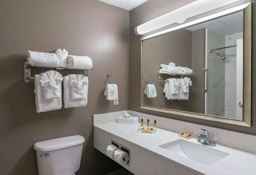 هتل Best Western Plus Lake City