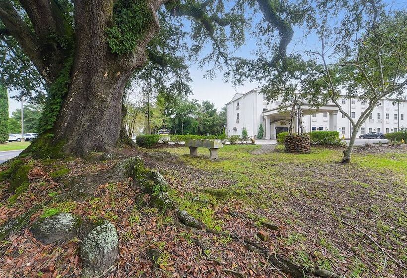 فندق Spark By Hilton Lafayette South