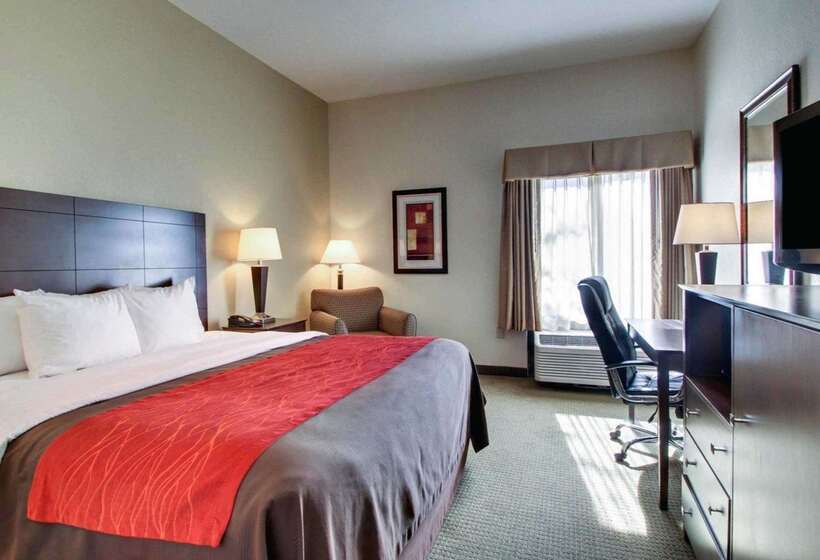 هتل Comfort Inn Moss Point Pascagoula