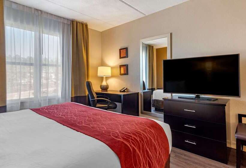 ホテル Comfort Inn & Suites Near Six Flags