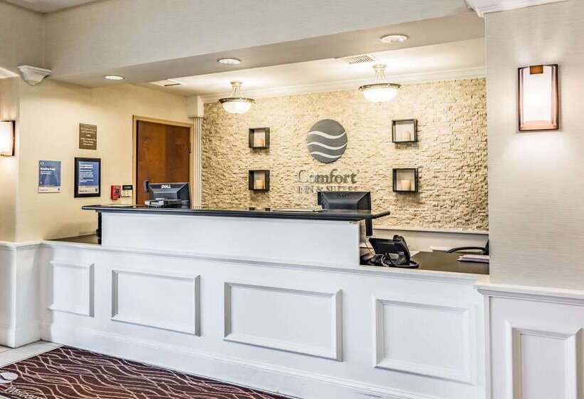 酒店 Comfort Inn & Suites Lookout Mountain