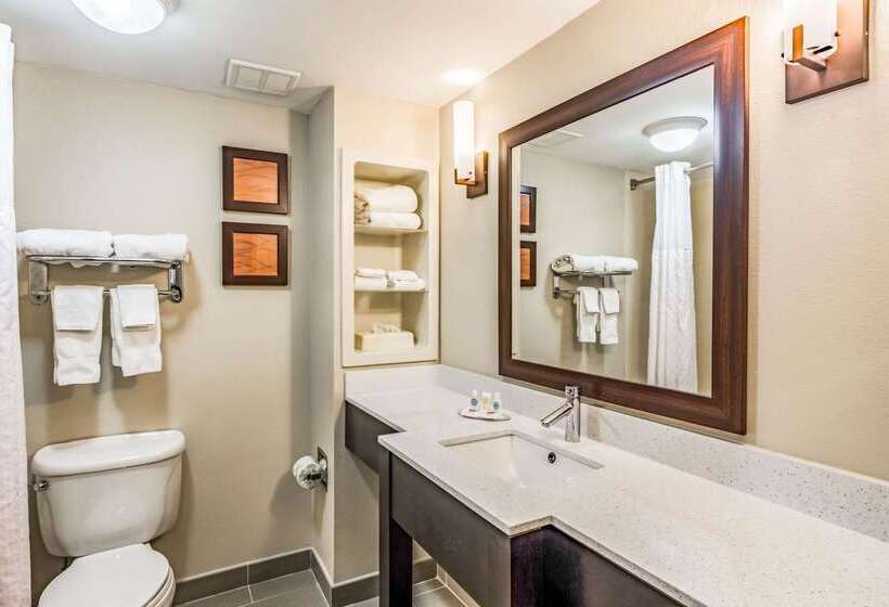 هتل Comfort Inn & Suites Chattanooga West   Lookout Mountain