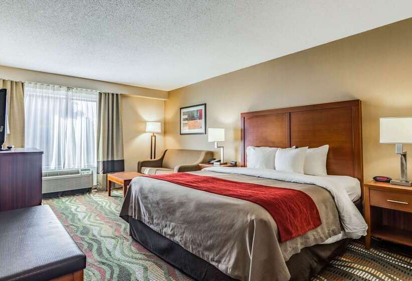 酒店 Comfort Inn & Suites Lookout Mountain