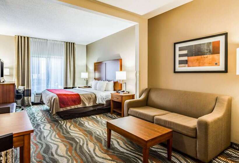هتل Comfort Inn & Suites Chattanooga West   Lookout Mountain