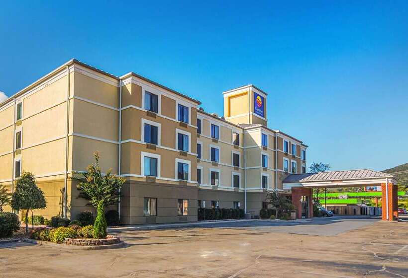 酒店 Comfort Inn & Suites Lookout Mountain