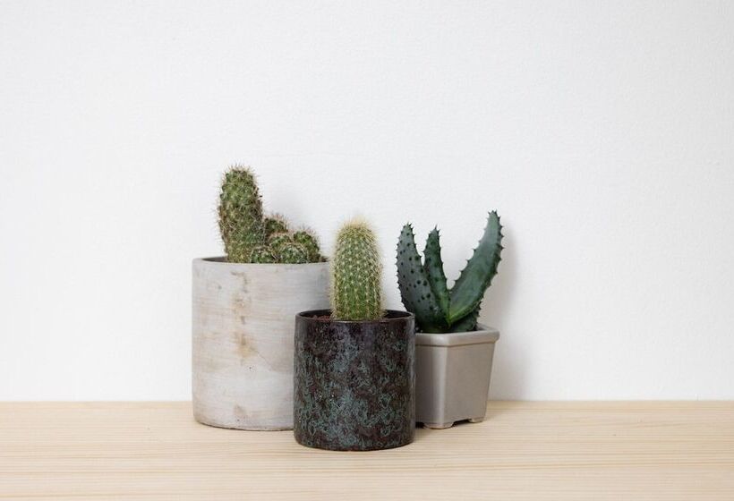 Fotos del hotel Hacienda:  29