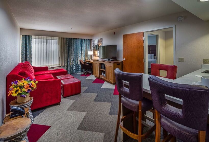 هتل Hampton Inn San Francisco Airport