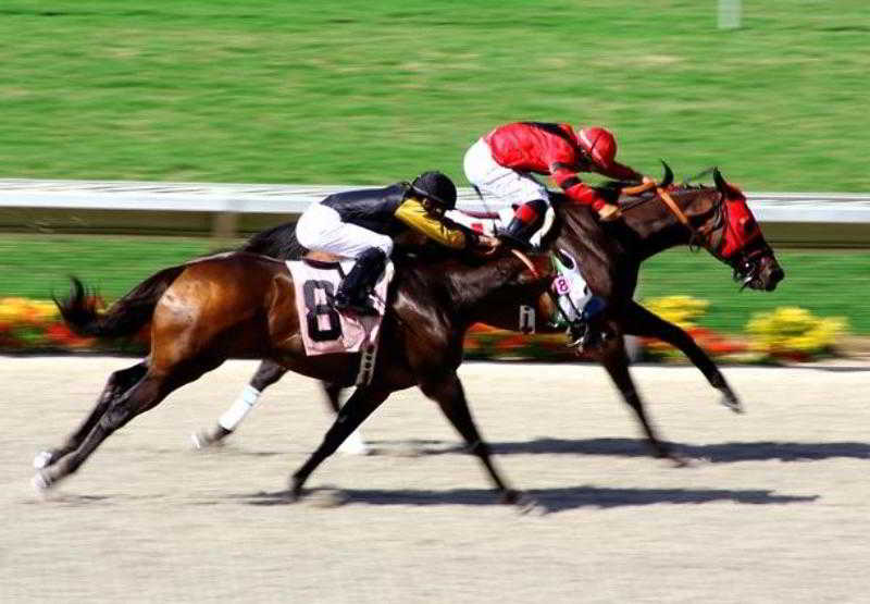 فندق San Diego Marriott Del Mar