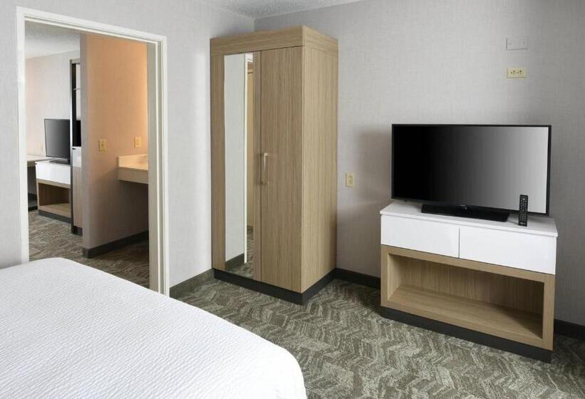 هتل Springhill Suites Des Moines West