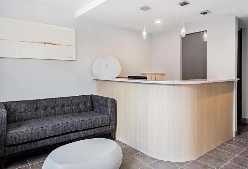 Fotos del hotel The Gatsby Hotel:  39