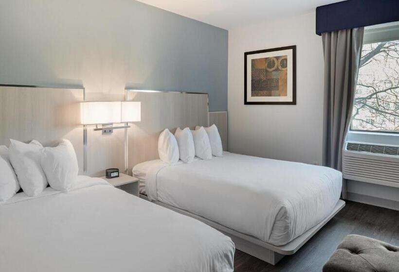 Fotos del hotel The Gatsby Hotel:  26