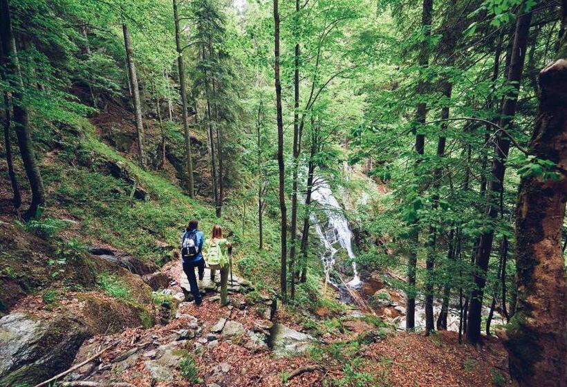 Pohorje Village Wellbeing Resort   Wellness & Spa Hotel Bolfenk