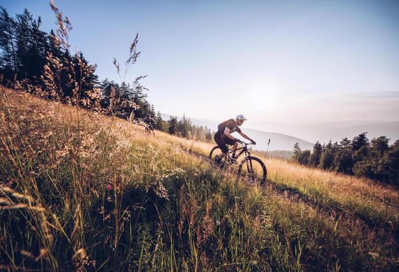 Pohorje Village Wellbeing Resort   Wellness & Spa Hotel Bolfenk