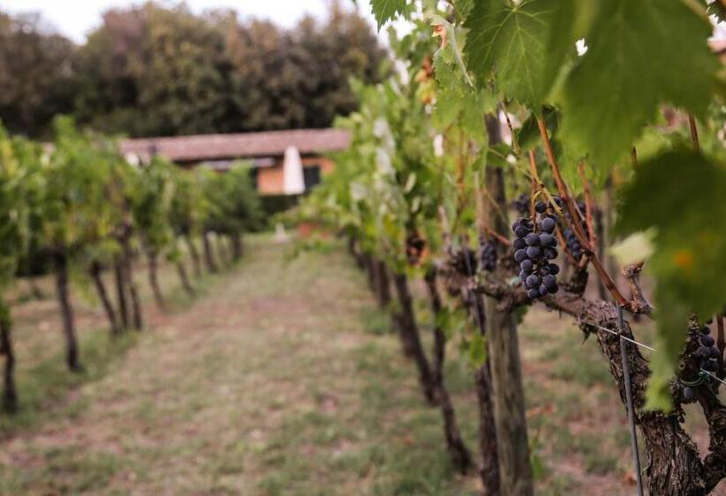 Cortona Resort & Spa