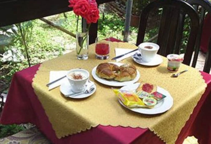 Fotos del hotel Adler:  10