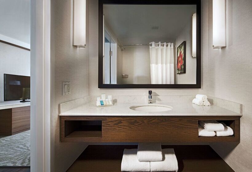 Fotos del hotel Hilton Garden Inn Montreal Airport:  44