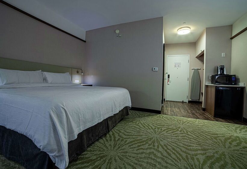 ホテル Hilton Garden Inn Montreal Airport