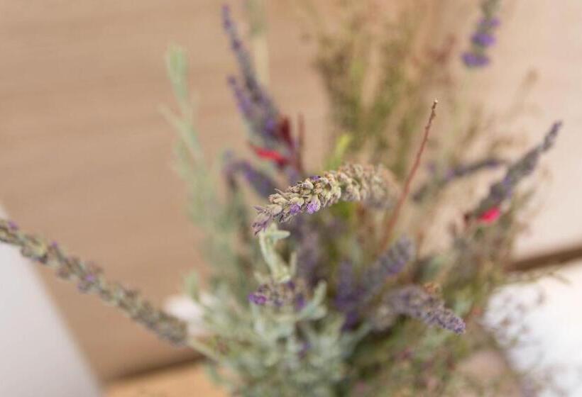 Fotos del hotel Mare Naxia:  17