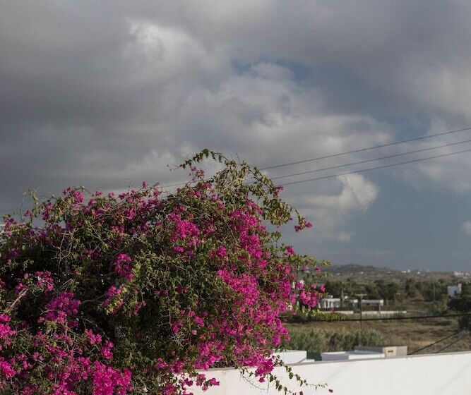 Fotos del hotel Mare Naxia:  31