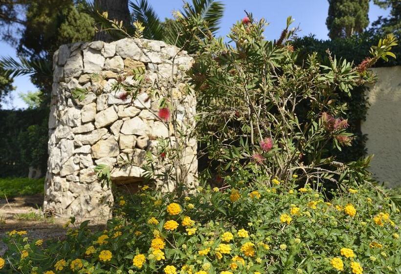 هتل Residence Oasis
