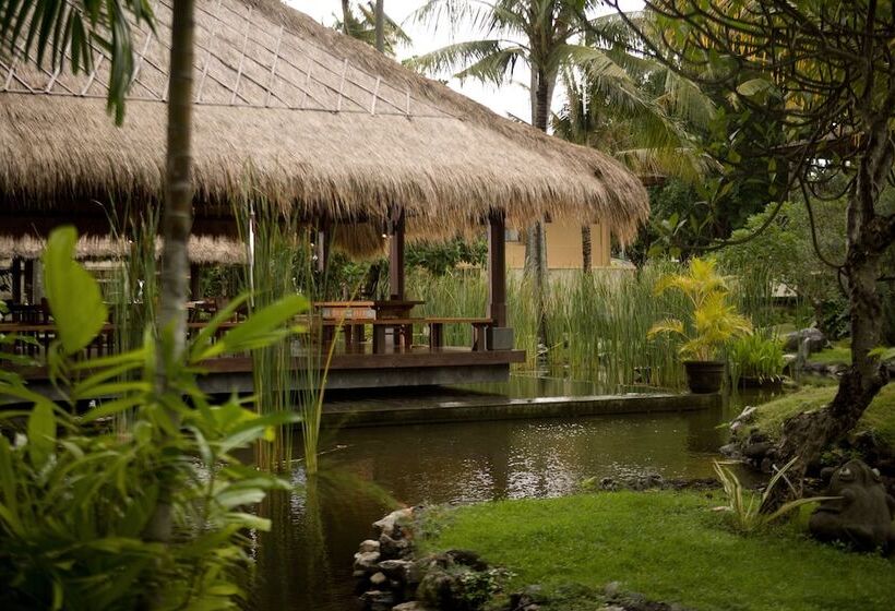 هتل The Patra Bali Resort & Villas   Chse Certified