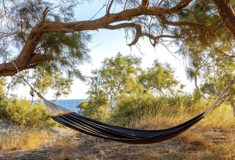 Scorpios Beach