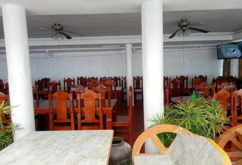 Отель Palm Grove Saud Holiday Complex