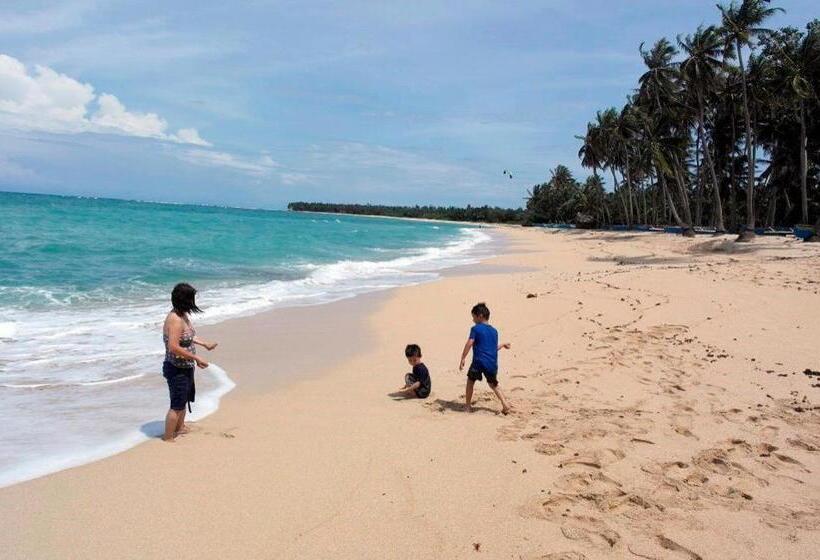 Отель Palm Grove Saud Holiday Complex