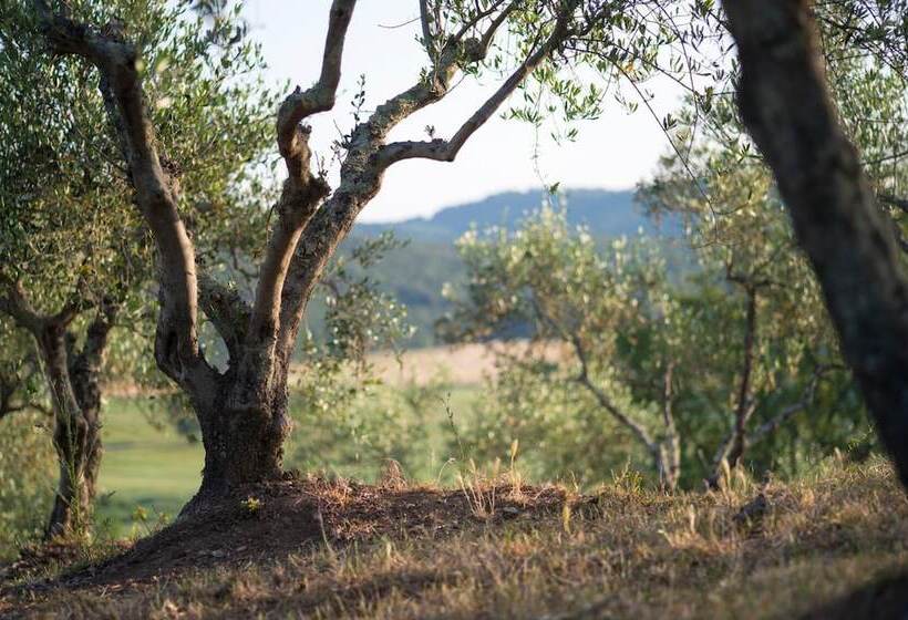 هتل روستایی Agriturismo Poggio Corbello