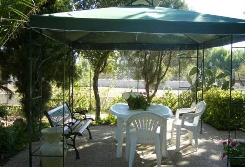 B&b Il Vigneto