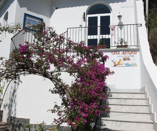 هتل Casa Antonio