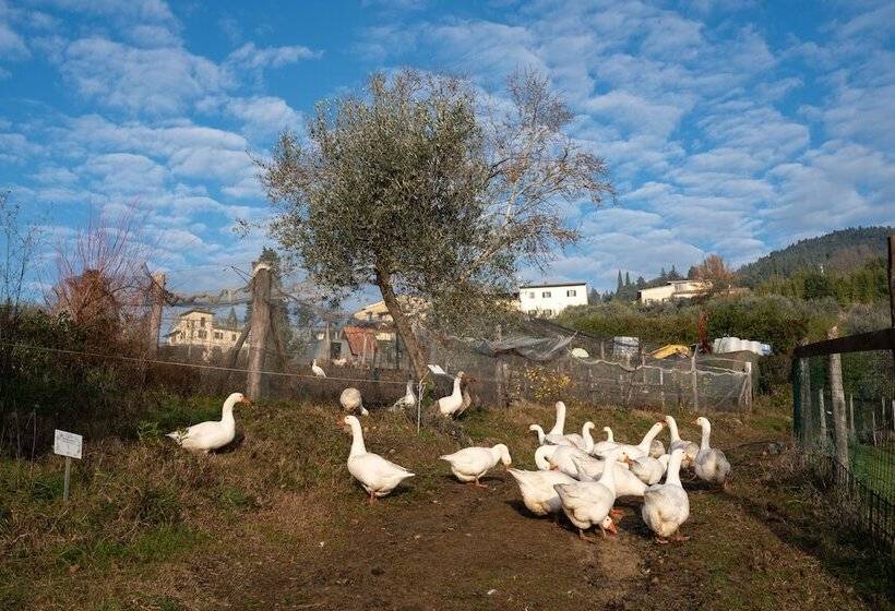 هتل روستایی Fattoria Di Maiano